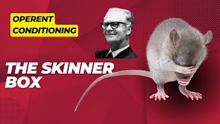 2 Operant Conditioning The Skinner Box Unveiled  psychological Experiments [upl. by Northington939]