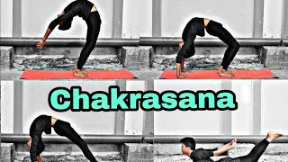 How To Do Chakrasana  Beginners Back flexibility stretches  YLB [upl. by Waite603]