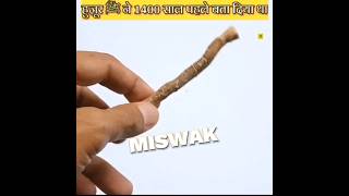 MISWAK KE FAYDEMiswak benefit shorts islam facts [upl. by Airod]