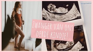 ZWANGER van ons DERDE KINDJE 💛  Zwangerschapsaankondiging  gender reveal  Wil amp Tien [upl. by Magner483]