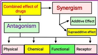 Combined Effect of Drugs [upl. by Janiuszck]