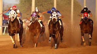 Carreras de Caballos en el Hipodromo de Rayon 04 Octubre 2020 [upl. by Rim]