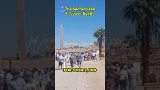 Discover The Sacred Lake in Luxor Egypt – Hidden Gem shorts TheSacredLakeLuxo [upl. by Nanci]