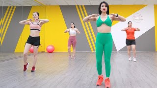 23 Minute Exercise Routine To Lose Belly Fat  Zumba Class [upl. by Hodess]