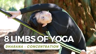 8 Limbs of Yoga  Dharana  Concentration [upl. by Mallina]