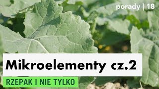 Nawożenie dolistne – mikroelementy cz 2 rzepak [upl. by Cilurzo]