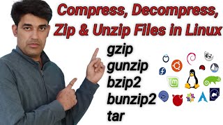 Compress Decompress Zip amp Unzip files in Linux  gzip gunzip bzip2 bunzip2 amp tar Commands [upl. by Ailssa]