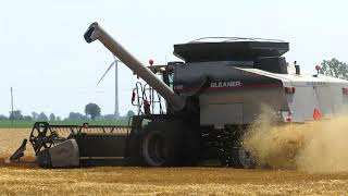 Gleaner Combine Harvesting wheat 2020 [upl. by Greggs296]