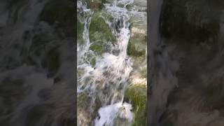 Kanhatti Garden soonvalley garden citrus kallarkahar water stream [upl. by Gordie]