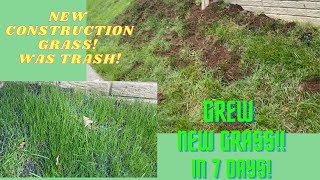 HOW TO GROW GRASS IN 7 DAYS  New Construction Home [upl. by Wernda]