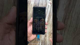 Mobile PIN Unlock Without Data Loss and No Reset 🔥 attiny85 trending trendingshorts [upl. by Rector]