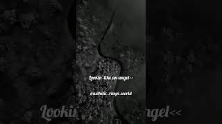 savagelovelyrics Savage loveLyricslyrics addictviral reelshotsfypage fypシ゚viral fyp [upl. by Weidar]