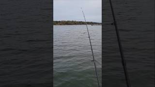 Trolling for Bass on Lake Lanier in November [upl. by Tudor]