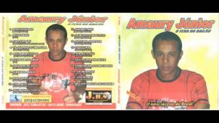 Cd completo Amaury Junior vol 08 [upl. by Sira]