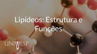 Introdução à Bioquímica  Aula 7  Parte 3  Lipídios e Membranas Biológicas [upl. by Atnoek]