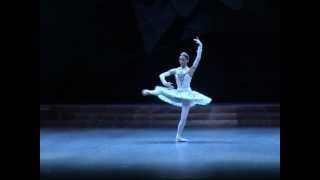 Raymonda  selections 2  Svetlana Zakharova Andrei Uvarov  Tokyo 2004 [upl. by Jedlicka]