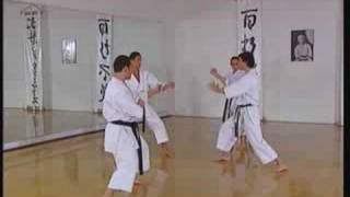 Kata Bunkai 2  Jion [upl. by Naira]