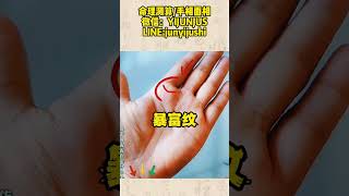 手相 传统文化 八字算命 palmistry [upl. by Gunar242]