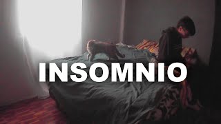 EL INSOMNIO [upl. by Eneja]