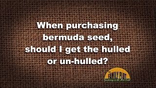 QampA – Should I buy hulled or unhulled Bermuda grass seed [upl. by Kerr894]