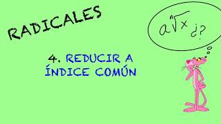 RADICALES 4  Reducir a índice común [upl. by Silva]