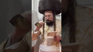 Mezibuz Rebbe Blowing Shofat Near The Tziyun Of Reb Meir Premishlan  Av 5784 [upl. by Edas]