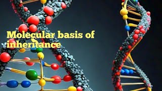 MOLECULAR BASIS OF INHERITANCE CHAPTER 6 CLASS 12TH FOR BOARD NEET AND COMPETITIVE EXAMS [upl. by Anitniuq]