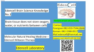 Knowledge of brain science 1  EdenCellEdencell Co Ltd [upl. by Heath334]