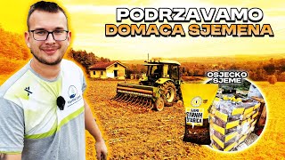 POČETAK SJETVE  KOLIKO OVE GODINE SIJEMO PŠENICE LOŠA ODLUKA [upl. by Enra]