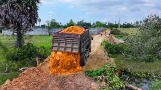 Start New Project Rebuild New Road to Village Flooded Area  Bulldozer Push Soil  Truck Unloading [upl. by Yrrab358]