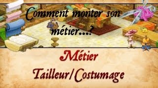 DOFUS Comment monter rapidement son métier  TailleurCostumage [upl. by Wylde873]