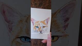 quotRICHARDquot orange heterochromia cat watercolor pet portrait art painting transition finished shorts [upl. by Adnahc10]