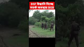 BSF vs BGB at India Bangladesh Border [upl. by Ynnob]