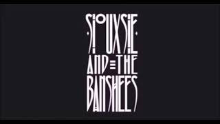 Siouxsie And The Banshees  Live in Geneva 1979 Full Concert [upl. by Ajay]