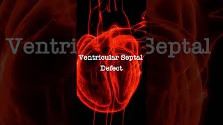 Normal Heart Sounds vs Ventricular Septal Defect Murmur [upl. by Colier45]