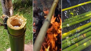 8 Different Ways To Treat Bamboo [upl. by Elagiba]