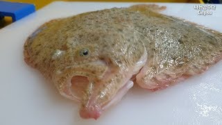 How to fillet a fish Turbotkorean street food [upl. by Bohman]