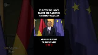 Die AmpelKoalition implodiert⚠️ scholz lindner entlassung vertrauensfrage neuwahlen afd [upl. by Aninad794]