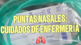 Puntas Nasales Cuidados de Enfermería [upl. by Hannus]