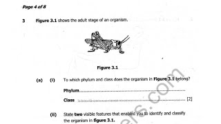 2019 BIOLOGY PAPER 2 QUESTION 3 AND 4 [upl. by Krystin]