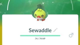 Sewaddle Community Day [upl. by Schulman]