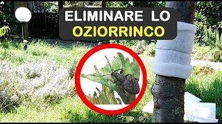 ELIMINARE LOZIORRINCO [upl. by Selrahc]