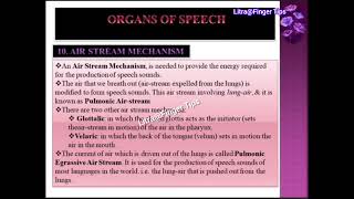 Organs of Speech  Classification  Air Stream Mechanism  Pulmonic  Glottalic  Velaric [upl. by Vincenty]