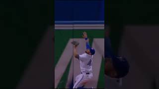 Pillar CLIMBED The Wall edit mlb baseball [upl. by Culliton]