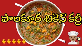 పాలకూర చికెన్ కర్రీ  spinach chicken recipe  dhaba style chicken curry  srilathavlogs [upl. by Joappa]