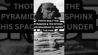 The Sphinxs Secrets Its A Lions Head Spaceships and Ancient Battles Thoth Built It shorts [upl. by Seabury322]