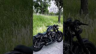 HarleyDavidson FORTYEIGHT custom [upl. by Norvil]