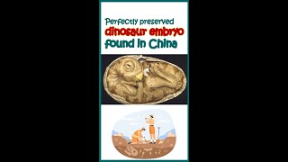 Perfectly preserved dinosaur embryo found in China  Biofacts  Latest update  shorts [upl. by Esilahc]