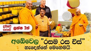 අඹේවෙල රසම රස චීස් හැදෙන්නේ මෙහෙමයි 🧀🧈 Ambewela Farm Dairy Products [upl. by Brittne]