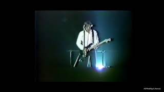 Pink Floyd  Comfortably Numb The Wall 1980 Live [upl. by Adallard8]